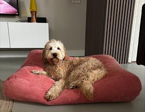 Hondenbed.nl Dog's Companion Hondenbed oud roze ribcord