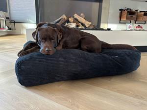 Hondenbed.nl Dog's Companion Hondenbed black giant ribcord