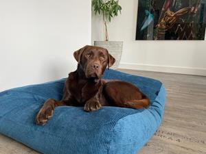 Hondenbed.nl Dog's Companion Hondenbed petrol ribcord