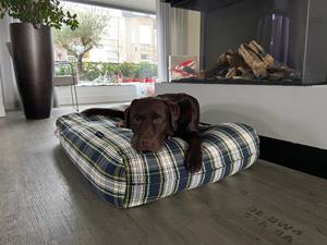 Hondenbed.nl Dog's Companion Hondenbed dress gordon
