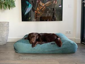 Hondenbed.nl Dog's Companion Hondenbed ocean ribcord