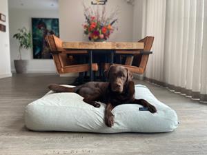 Hondenbed.nl Dog's Companion Hondenbed cool mintgroen ribcord