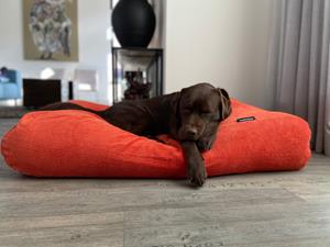 Hondenbed.nl Dog's Companion Hondenbed oranje ribcord