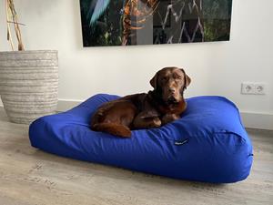Hondenbed.nl Dog's Companion Hondenbed royal blue