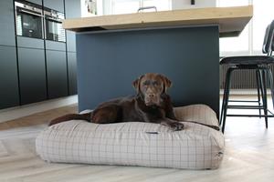 Hondenbed.nl Dog's Companion Hondenbed Manhattan camel