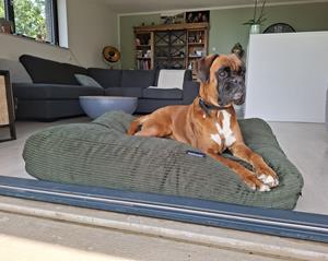 Hondenbed.nl Dog's Companion Hondenbed hunting double ribcord