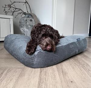 Hondenbed.nl Dog's Companion Hondenbed muisgrijs double ribcord