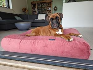 Hondenbed.nl Dog's Companion Hondenbed oud roze double ribcord