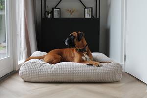 Hondenbed.nl Dog's Companion Hondenbed little square soft sand