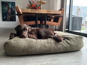 Hondenbed.nl Dog's Companion Hondenbed olive giant ribcord