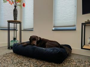 Hondenbed.nl Dog's Companion Hondenbed donkerblauw double ribcord