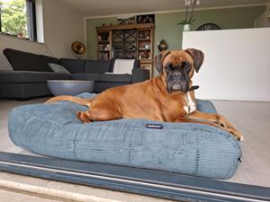 Hondenbed.nl Dog's Companion Hondenbed oud groen double ribcord