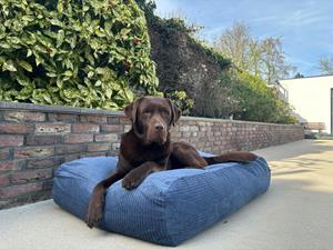 Hondenbed.nl Dog's Companion Hondenbed rafblauw double ribcord