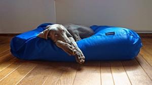 Hondenbed.nl Dog's Companion Hondenkussen kobalt blauw vuilafstotende coating