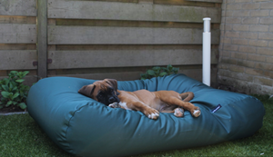 Hondenbed.nl Dog's Companion Hondenbed groen vuilafstotende coating