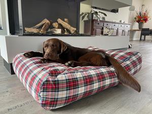Hondenbed.nl Dog's Companion Hondenbed dress stewart
