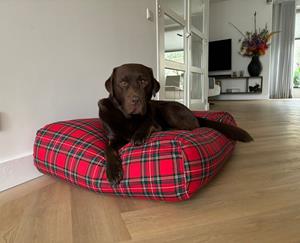 Hondenbed.nl Dog's Companion Hondenbed royal stewart