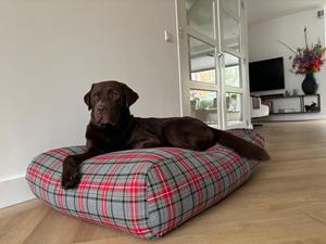 Hondenbed.nl Dog's Companion Hondenbed scottish grey