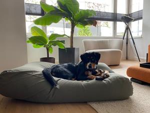 Hondenbed.nl Dog's Companion Hondenbed basalt