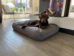 Hondenbed.nl Dog's Companion Hondenkussen muisgrijs