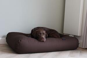 Hondenbed.nl Dog's Companion Hondenkussen chocolade bruin