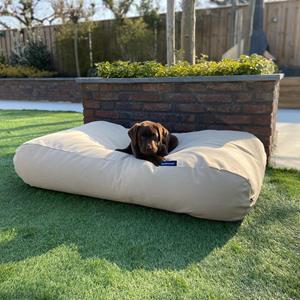 Hondenbed.nl Dog's Companion Hondenkussen beige