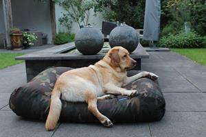 Hondenbed.nl Dog's Companion Hondenbed army