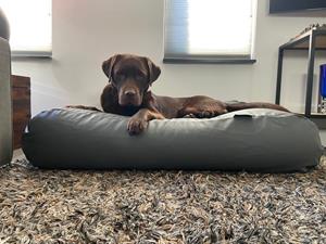 Hondenbed.nl Dog's Companion Hondenbed muisgrijs leather look