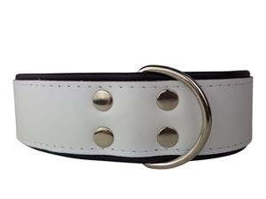 Hondenbed.nl Leren hondenhalsband wit / zwart