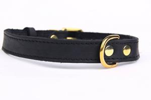 Hondenbed.nl Leren hondenhalsband gold, exclusive