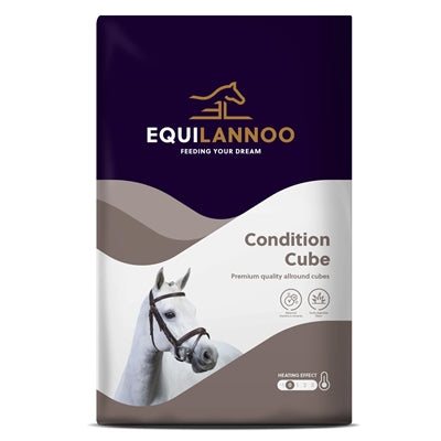 Condition Cube 20 kg