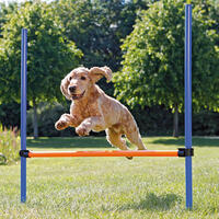 Procyon Hordenset voor agility
