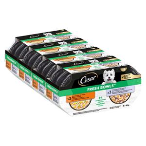 Cesar 24x85g  Fresh Bowls kip & Eend in saus natvoer voor honden