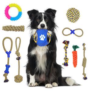 Nobleza Hondenspeelgoed - Set - 10 stuks