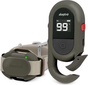 Dogtra IQ Flex trainingsband - Grijs