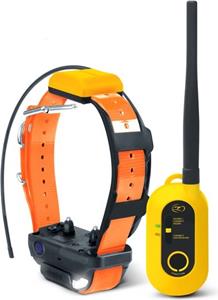 Dogtra Pathfinder 2 GPS mini