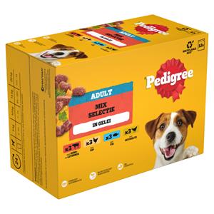 Pedigree Adult in Gelei Mix Selectie Maaltijdzakjes Multipack 12x100 gr