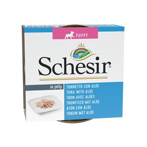 Schesir 10x  Hondenvoer Puppy Tonijn Aloe in Gelei 150 gr