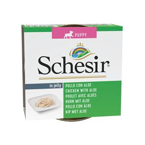 Schesir 10x  Hondenvoer Puppy Kip Aloe in Gelei 150 gr
