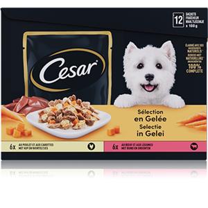 Cesar 4x  Maaltijdzakjes 12-pack in Gelei 12 x 100 gr