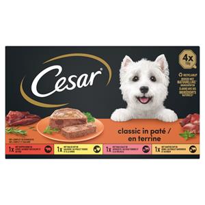 Cesar 6x  Classic Selection in Gelei 600 gr