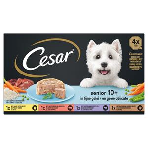 Cesar 6x  Senior 10+ in Gelei 600 gr