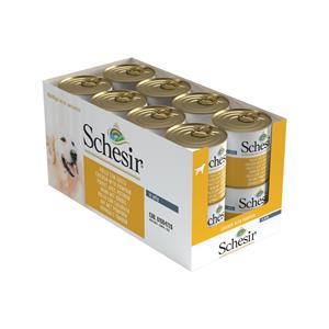Schesir 16x  Hondenvoer Kip Pompoen in Gelei 285 gr