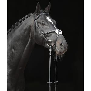 Covalliero Hoofdstel Cancun Pony zwart