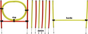 De Boon Agility Set 6x Stok + Springring en horde