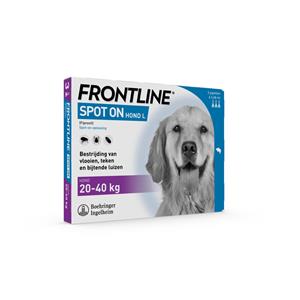 Frontline Spot On Anti Vlooien en Teken Druppels Hond L 20 - 40 kg 3 pipetten