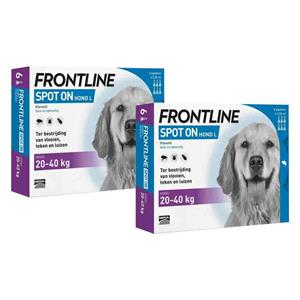 Frontline 2x  Spot On Anti Vlooien en Teken Druppels Hond 20 - 40 kg 6 pipetten