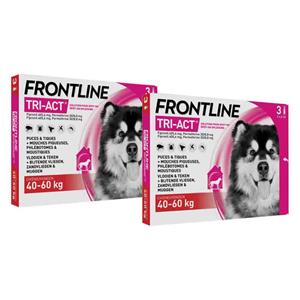 Frontline 2x  Tri-Act Anti Vlooien en Teken Druppels XL 3 pipetten