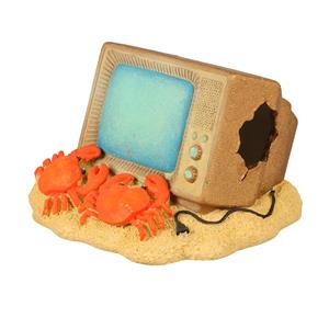 Aqua D'ella Televisie