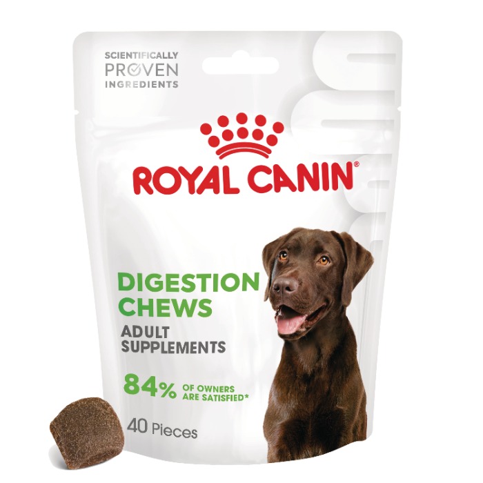 Digestions Chews hond supplement 160 gram